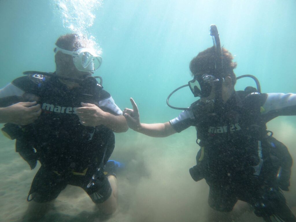 118519683 2472621283047006 1802384765203782556 o large