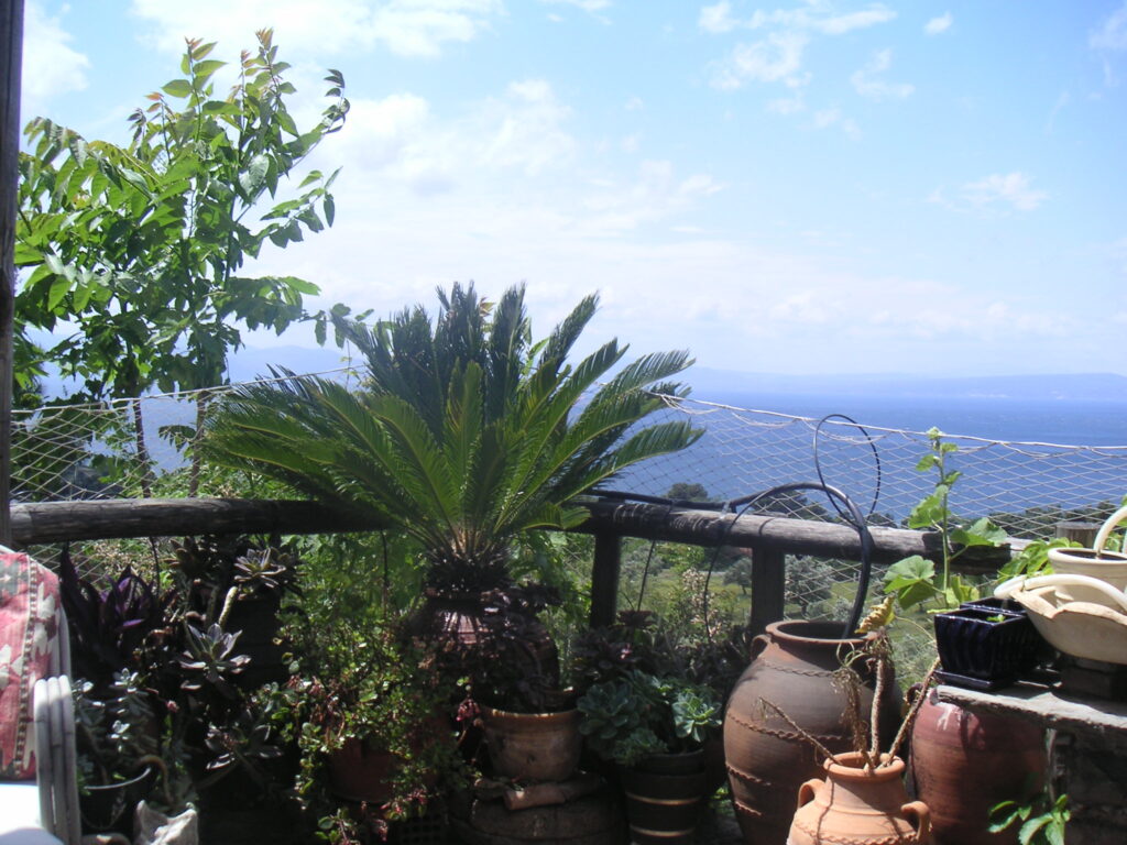 Utsikt från altanen