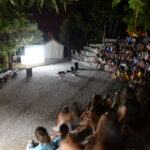 camp movie night
